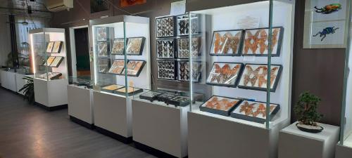 Muzeum tropických brouků a motýlů, Hlinsko